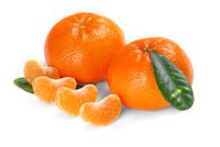 Mandarina